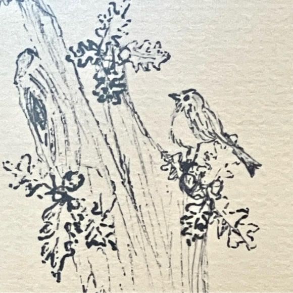 Vintage Original Pen and Ink drawing by Joanna Hamilton. Framed and Signed - Picture 5 of 16